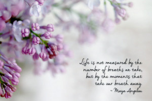 Purple Lilac Photograph, Inspirational Quote, Maya Angelou quote ...