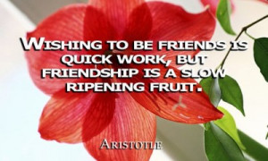 The Slow Ripening Fruit of Friendship