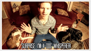 Ricky Dillon Gif Cuteboysonyoutube Gifs Favorite Funny Quote