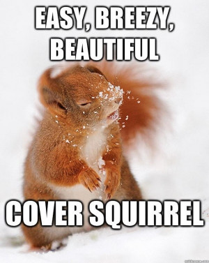 Easy Breezy Beautiful Funny Squirrel Snow Orange Hair Picture