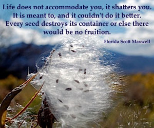 My Son Is My World Quotes They are not my seeds,