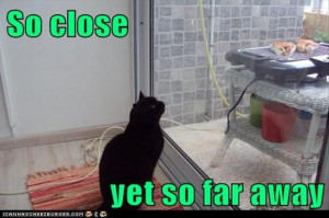 So Close, Yet So Far Away – 25 Pics