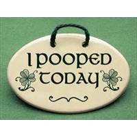 irish-sayings-new-for-st-patricks-day-i-pooped-today-with-irish ...