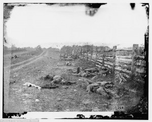 ... September 17, 1862, Confederate dead lay by a fence on Hagerstown road