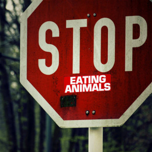 cruel, sign, stop, stop eating animals, vegan, vegetarian