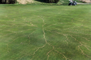 417816d1356272953-lightning-strikes-fairway-lightning-strikes-golf ...