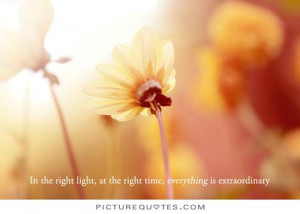 In the right light, at the right time, everything is extraordinary.