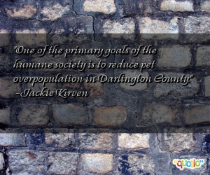 Quotes About Losing a Sibling