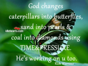 God Changes Caterpillars Into Butterflies.