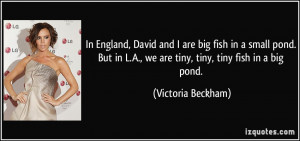big fish in a small pond. But in L.A., we are tiny, tiny, tiny fish ...