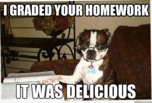 30 Funny animal captions - part 10, funny memes, funny animal memes ...