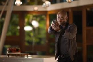 It takes nothing away from a human to be kind to an animal ...