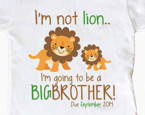 Big Brother Shirt I'm not Lion Personalized Sibling Announcement Shirt ...