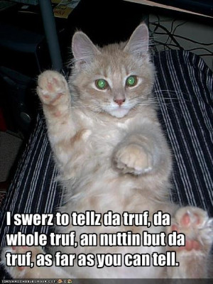 Some old lolcats