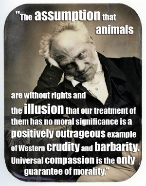 that animals are without rights and the illusion that our treatment ...