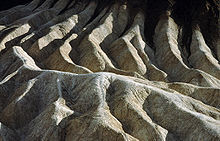 My work is like digging, it's archaeological research among the arid ...