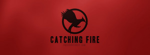 The Hunger Games Catching Fire 4 Picture