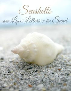 Seashells are Love Letters in the Sand: http://beachblissliving.com ...