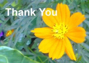 Wednesday, March 16, 2011