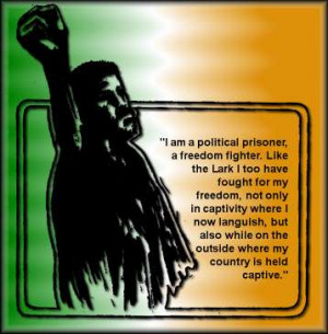 Irish Republican Army Quotes