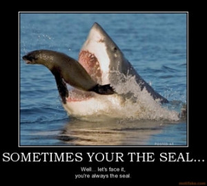 SOMETIMES YOUR THE SEAL... - Well... let's face it, you're always the ...