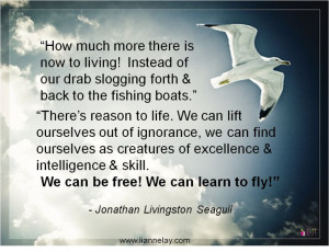 ... Seagull that wants to soar to new heights? www.liannelay.com