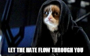 grumpy cat, funny star wars pictures