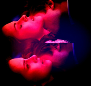 Twilight Series another love bite!
