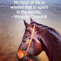 Horse quotes www.facebook.com/horselovelife