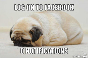 Log on to Facebook, 0 Notifications