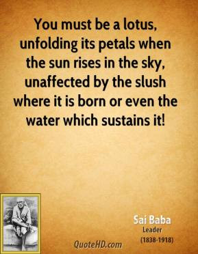 You must be a lotus, unfolding its petals when the sun rises in the ...