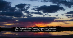 Quotes About The Human Spirit