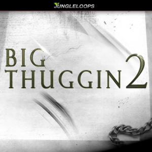 Big Thuggin' 2 Cover