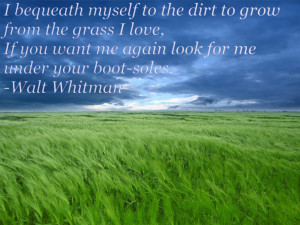 WALT WHITMAN LEAVES OF GRASS