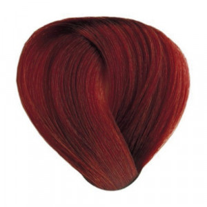 Funny Quotes Contact Dmca