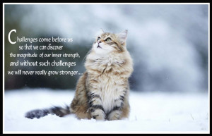 ... 1600 weather sayings in it making it the most comprehensive weather