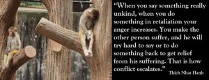 Thich Nhat Hanh ~ Conflict escalation