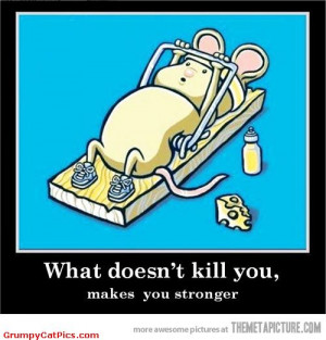Life Lesson Number 1 Very Cute Mouse Trap Working Fitness Funny ...
