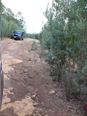 Thread: Let see Foreign JKs