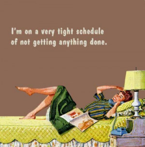 ... schedule of not getting anything done. - vintage retro funny quotes