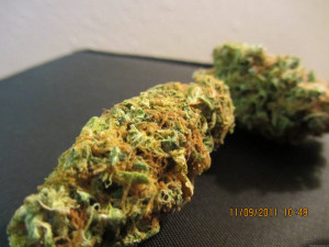 Pineapple Express Gif Weed Marijuana