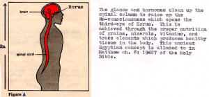 This chart (below) is from ancient Egyptian Health records....