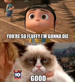 tard-the-grumpy-cat-quotes-i13.jpg