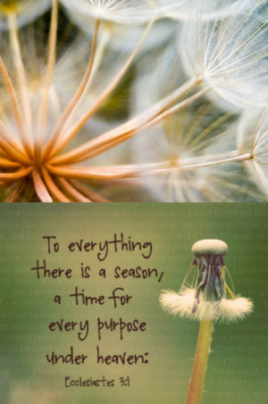 ... Everything There Is A Season And A Time For Every Purpose Under Heaven