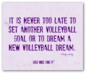 too late to set another volleyballgoal or to dream a new volleyball ...