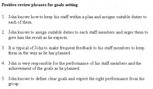 Self Evaluation Performance Sample Phrases For Managers