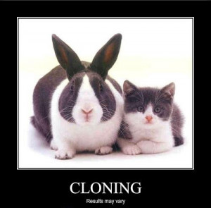 cloning the fda allows animals to be cloned and their