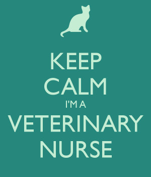 Nobody has voted for this poster yet. Why don't you?