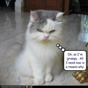 This is often my state of mind when I wake .. I am in a grump and the ...