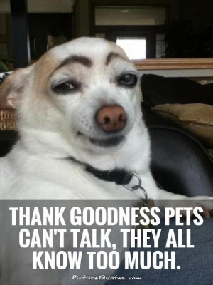 ... goodness pets can't talk, they all know too much Picture Quote #1